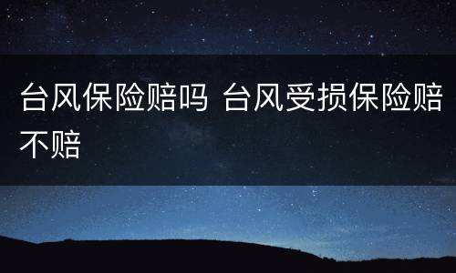 台风保险赔吗 台风受损保险赔不赔