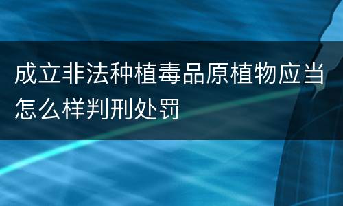 成立非法种植毒品原植物应当怎么样判刑处罚