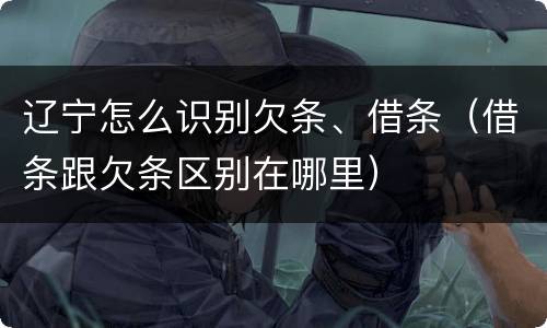 辽宁怎么识别欠条、借条（借条跟欠条区别在哪里）