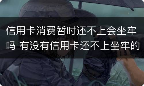 信用卡消费暂时还不上会坐牢吗 有没有信用卡还不上坐牢的