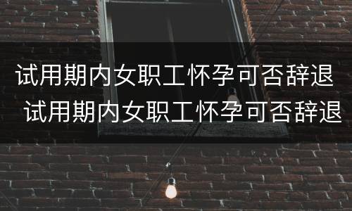 试用期内女职工怀孕可否辞退 试用期内女职工怀孕可否辞退公司