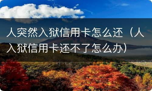 人突然入狱信用卡怎么还（人入狱信用卡还不了怎么办）