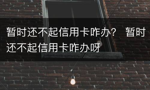 暂时还不起信用卡咋办？ 暂时还不起信用卡咋办呀