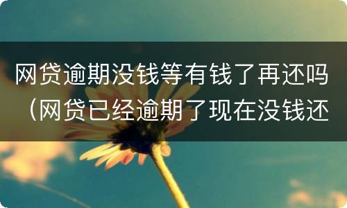 网贷逾期没钱等有钱了再还吗（网贷已经逾期了现在没钱还后面可以还吗）