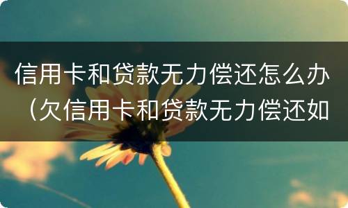 信用卡和贷款无力偿还怎么办(欠信用卡和贷款无力偿还如何解决)