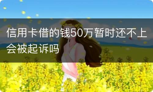 信用卡借的钱50万暂时还不上会被起诉吗