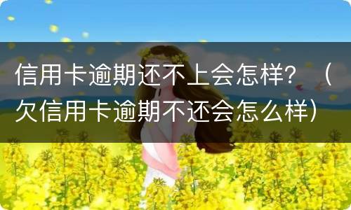 信用卡逾期还不上会怎样？（欠信用卡逾期不还会怎么样）