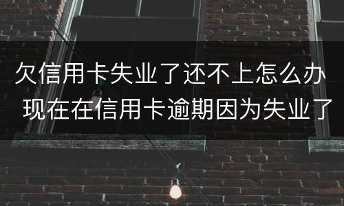 欠信用卡失业了还不上怎么办 现在在信用卡逾期因为失业了怎么办