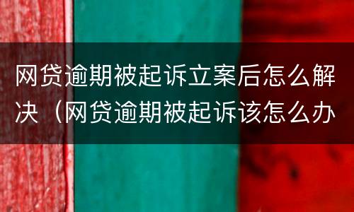 网贷逾期被起诉立案后怎么解决（网贷逾期被起诉该怎么办）