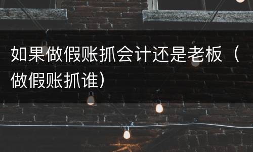 如果做假账抓会计还是老板（做假账抓谁）