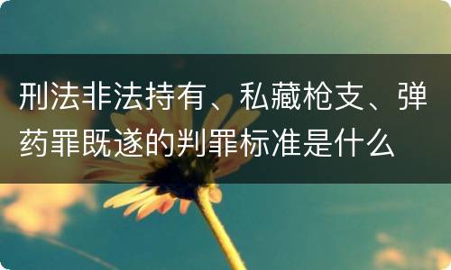 刑法非法持有、私藏枪支、弹药罪既遂的判罪标准是什么
