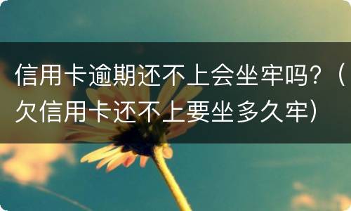 信用卡逾期还不上会坐牢吗?（欠信用卡还不上要坐多久牢）