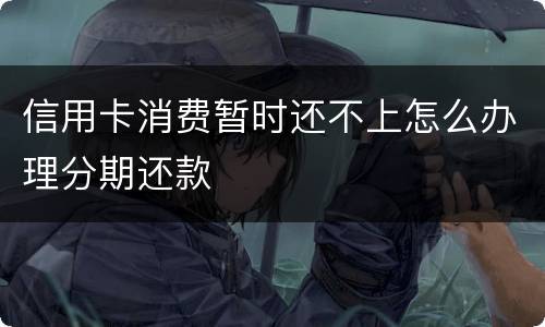信用卡消费暂时还不上怎么办理分期还款