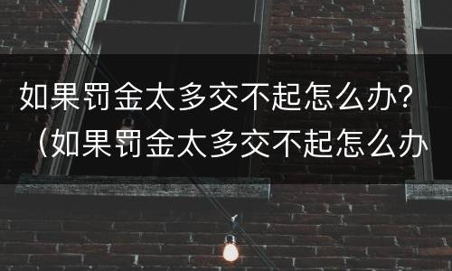 如果罚金太多交不起怎么办？（如果罚金太多交不起怎么办理）
