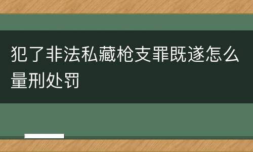 犯了非法私藏枪支罪既遂怎么量刑处罚