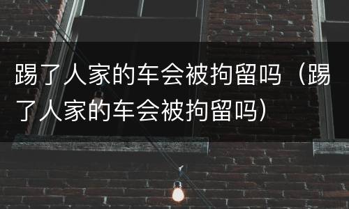 踢了人家的车会被拘留吗（踢了人家的车会被拘留吗）