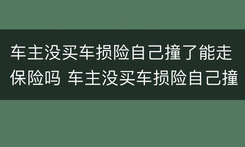 车主没买车损险自己撞了能走保险吗 车主没买车损险自己撞了能走保险吗多少钱