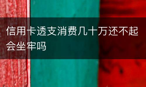信用卡透支消费几十万还不起会坐牢吗