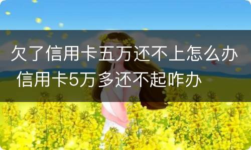 欠了信用卡五万还不上怎么办 信用卡5万多还不起咋办