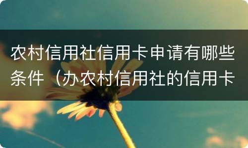 农村信用社信用卡申请有哪些条件（办农村信用社的信用卡需要什么条件）