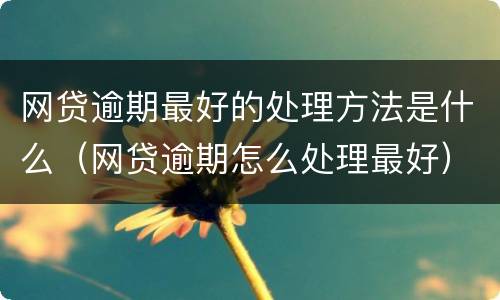 网贷逾期最好的处理方法是什么（网贷逾期怎么处理最好）