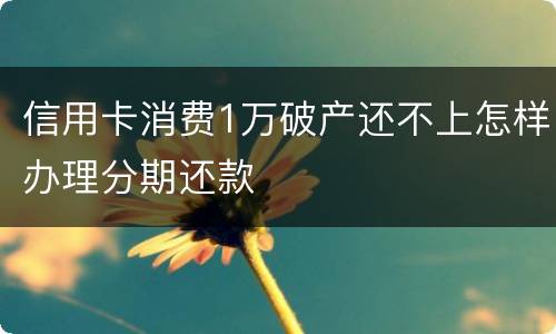 信用卡消费1万破产还不上怎样办理分期还款