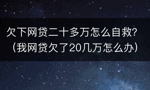 欠下网贷二十多万怎么自救？（我网贷欠了20几万怎么办）