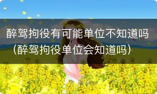 醉驾拘役有可能单位不知道吗（醉驾拘役单位会知道吗）