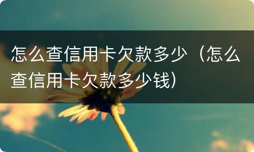 怎么查信用卡欠款多少（怎么查信用卡欠款多少钱）