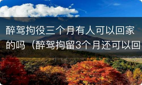 醉驾拘役三个月有人可以回家的吗（醉驾拘留3个月还可以回家吗）
