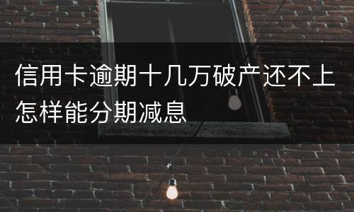 信用卡逾期十几万破产还不上怎样能分期减息