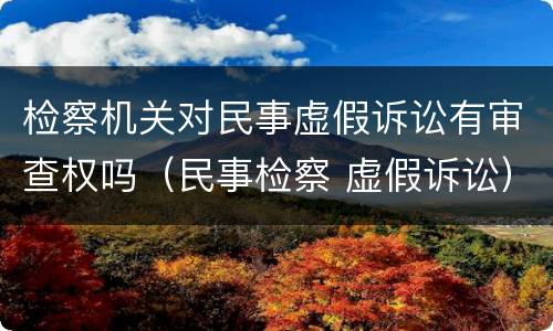 检察机关对民事虚假诉讼有审查权吗（民事检察 虚假诉讼）