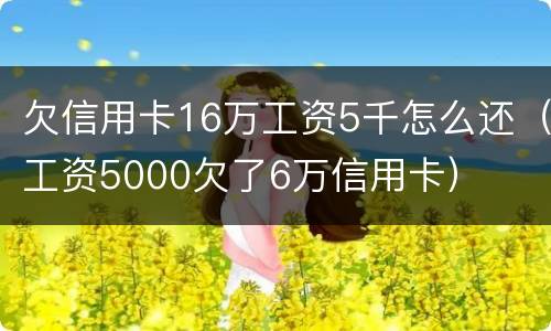欠信用卡16万工资5千怎么还（工资5000欠了6万信用卡）