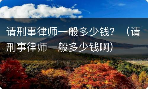 请刑事律师一般多少钱？（请刑事律师一般多少钱啊）