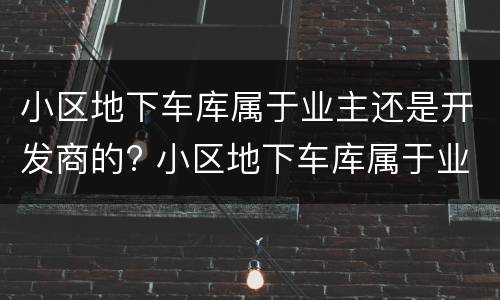 小区地下车库属于业主还是开发商的? 小区地下车库属于业主还是开发商的物业
