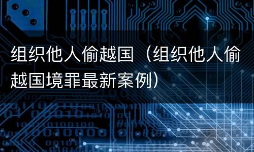 组织他人偷越国（组织他人偷越国境罪最新案例）