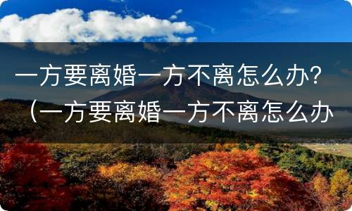 一方要离婚一方不离怎么办?(一方要离婚一方不离怎么办)