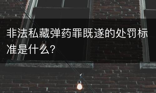 非法私藏弹药罪既遂的处罚标准是什么？