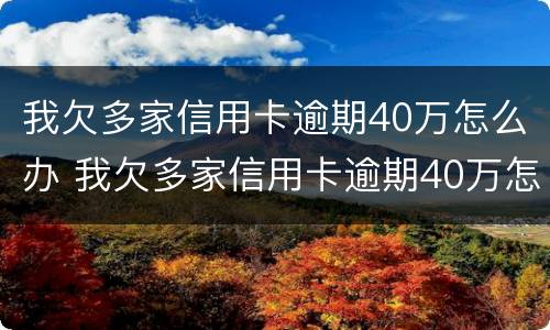 我欠多家信用卡逾期40万怎么办 我欠多家信用卡逾期40万怎么办呢