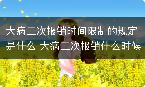 大病二次报销时间限制的规定是什么 大病二次报销什么时候开始实行的