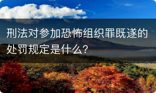刑法对参加恐怖组织罪既遂的处罚规定是什么？