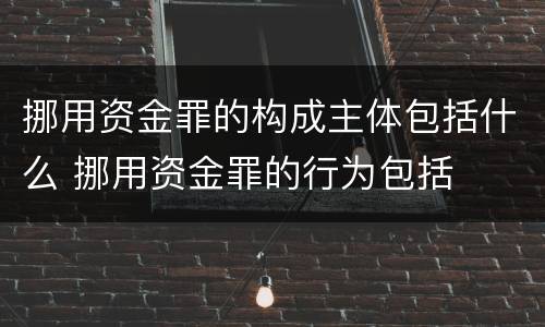 挪用资金罪的构成主体包括什么 挪用资金罪的行为包括