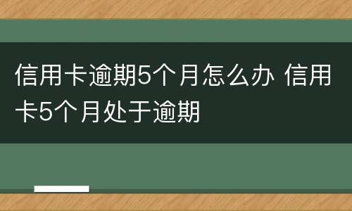 信用卡逾期5个月怎么办 信用卡5个月处于逾期