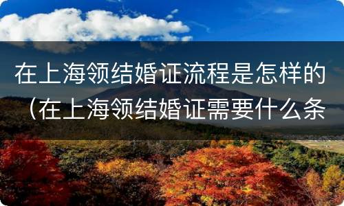 在上海领结婚证流程是怎样的（在上海领结婚证需要什么条件）