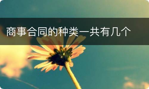 商事合同的种类一共有几个