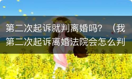 第二次起诉就判离婚吗？（我第二次起诉离婚法院会怎么判）