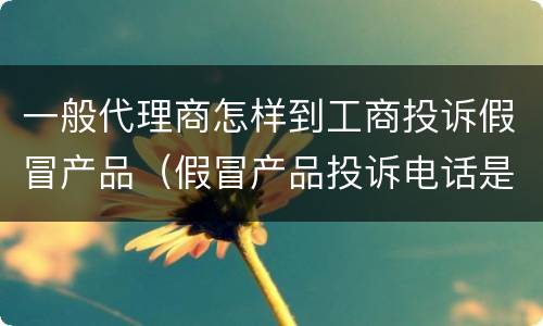 一般代理商怎样到工商投诉假冒产品（假冒产品投诉电话是多少啊）