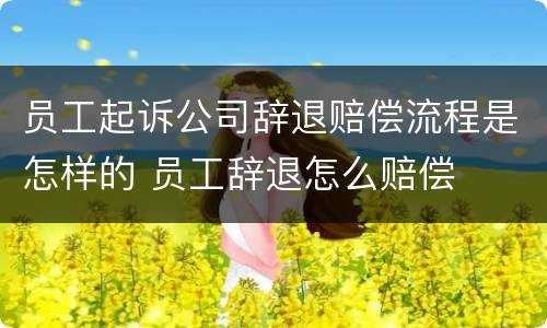 员工起诉公司辞退赔偿流程是怎样的 员工辞退怎么赔偿