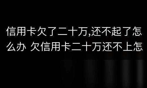 信用卡欠了二十万,还不起了怎么办 欠信用卡二十万还不上怎么办