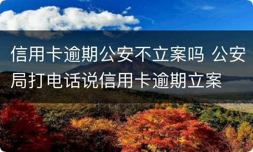 信用卡逾期公安不立案吗 公安局打电话说信用卡逾期立案